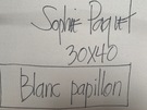 Big_thumb_paquet_blanc_papillon_endos