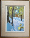Big_thumb_simpkins_sunlight_in_winter_ile_perrot_encadr_